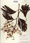 000064861-thumbnail.jpg