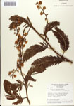 000064862-thumbnail.jpg