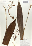 000065422-thumbnail.jpg