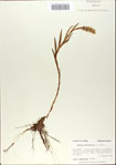 000065423-thumbnail.jpg
