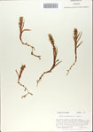 000065425-thumbnail.jpg