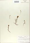 000065426-thumbnail.jpg