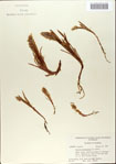 000065427-thumbnail.jpg