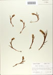 000065429-thumbnail.jpg
