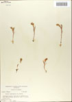 000065430-thumbnail.jpg