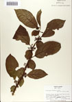 000066351-thumbnail.jpg
