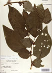 000066359-thumbnail.jpg