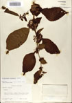 000066360-thumbnail.jpg