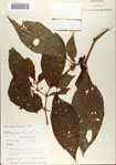 000066364-thumbnail.jpg