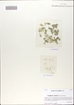 000066988-thumbnail.jpg