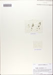 000066990-thumbnail.jpg