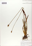 000067022-thumbnail.jpg