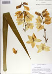 000068537-thumbnail.jpg
