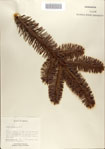 000068651-thumbnail.jpg