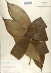 000068676-thumbnail.jpg
