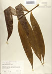 000068681-thumbnail.jpg