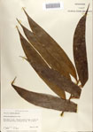 000068682-thumbnail.jpg