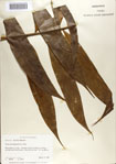 000068685-thumbnail.jpg
