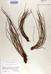 000068863-thumbnail.jpg