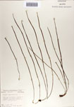 000068864-thumbnail.jpg