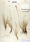 000070123-thumbnail.jpg