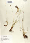 000070124-thumbnail.jpg