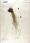 000070126-thumbnail.jpg