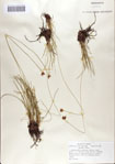 000070127-thumbnail.jpg