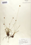 000070134-thumbnail.jpg