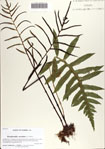 000071064-thumbnail.jpg