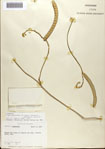 000072220-thumbnail.jpg