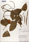 000072221-thumbnail.jpg