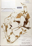 000072228-thumbnail.jpg