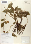 000072230-thumbnail.jpg