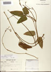 000072231-thumbnail.jpg