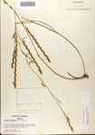 000072238-thumbnail.jpg