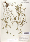 000072239-thumbnail.jpg