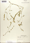 000072240-thumbnail.jpg