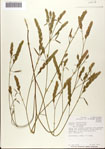 000072241-thumbnail.jpg