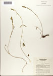 000072242-thumbnail.jpg