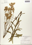 000072245-thumbnail.jpg