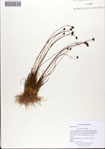 000072347-thumbnail.jpg