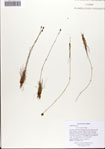 000072348-thumbnail.jpg