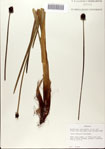 000072384-thumbnail.jpg