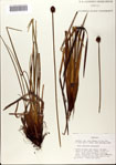 000072386-thumbnail.jpg