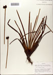 000072392-thumbnail.jpg