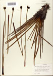 000072393-thumbnail.jpg