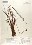 000072394-thumbnail.jpg