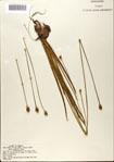 000072395-thumbnail.jpg