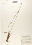 000072396-thumbnail.jpg